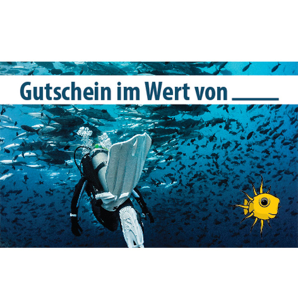 Open Water Diver Tauchkurs