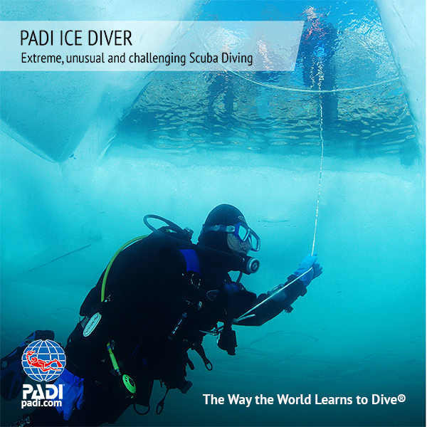 PADI Ice Diver