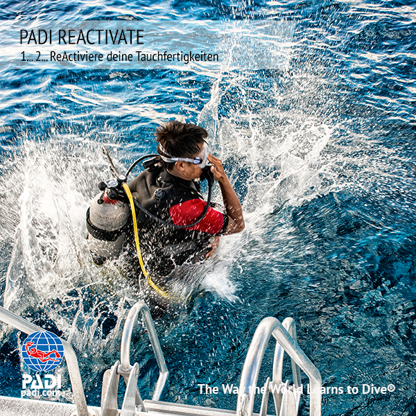 PADI Reactivate Programm