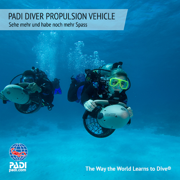 PADI Diver 