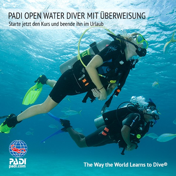 PADI OWD Überweisung